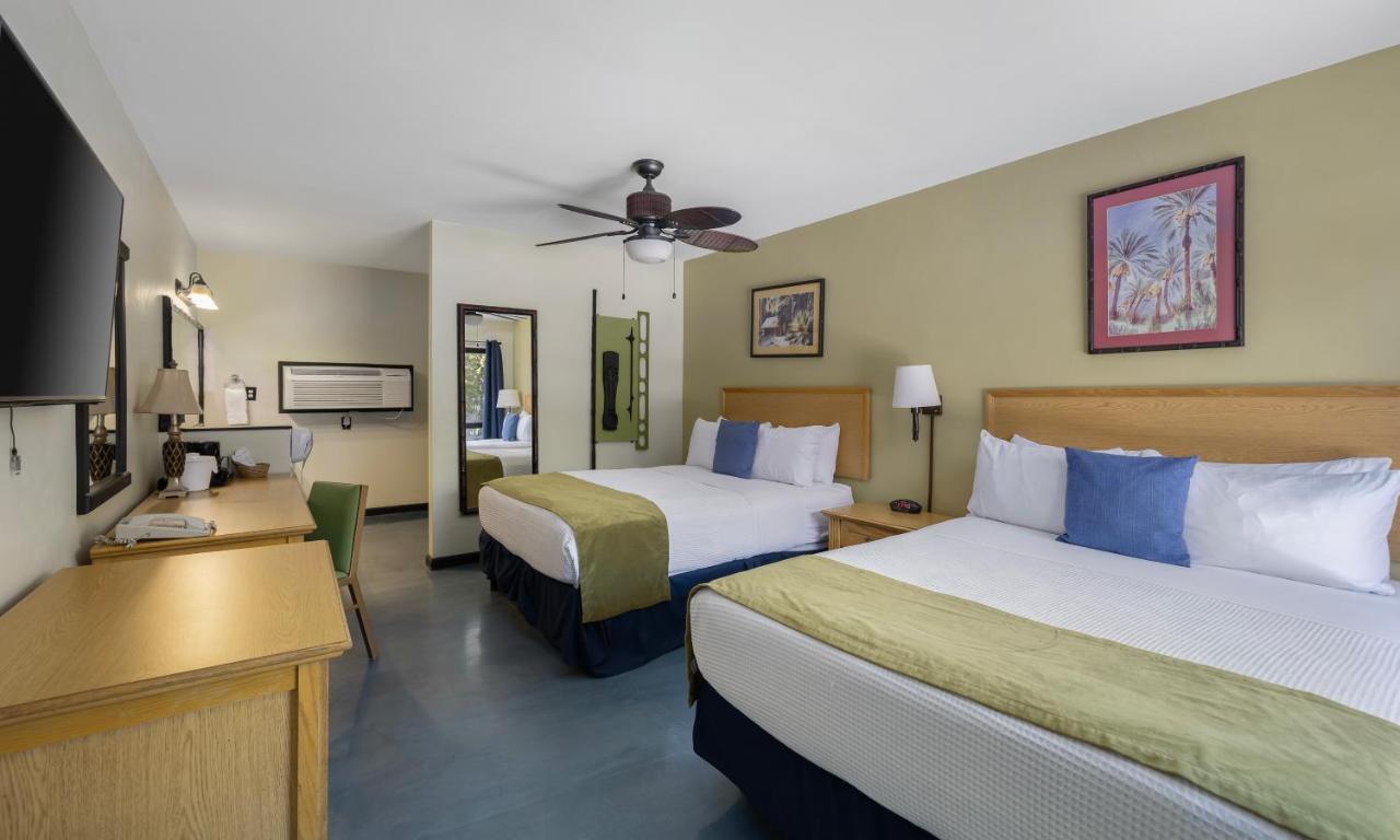 Caliente Tropics Otel Palm Springs Dış mekan fotoğraf