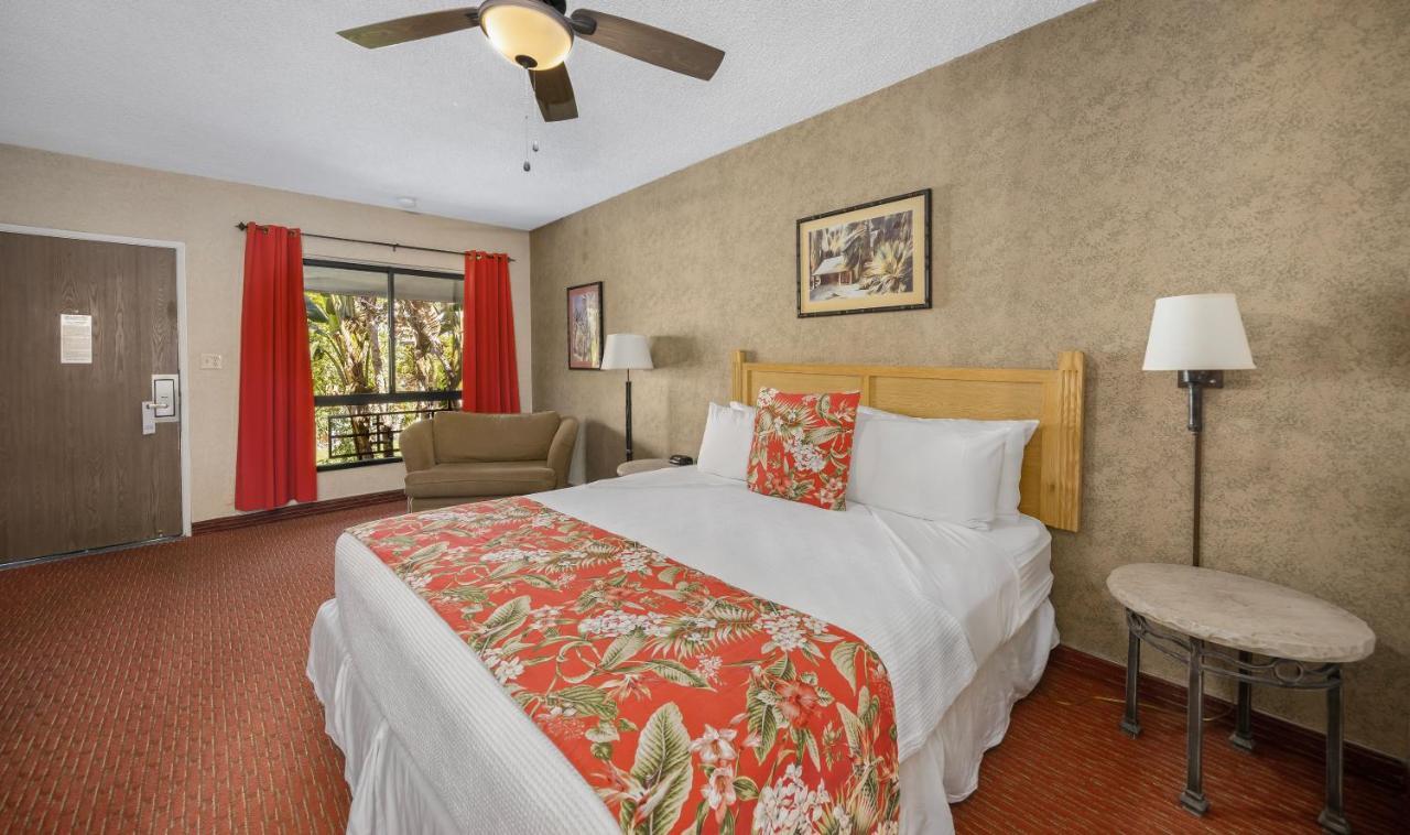 Caliente Tropics Otel Palm Springs Dış mekan fotoğraf
